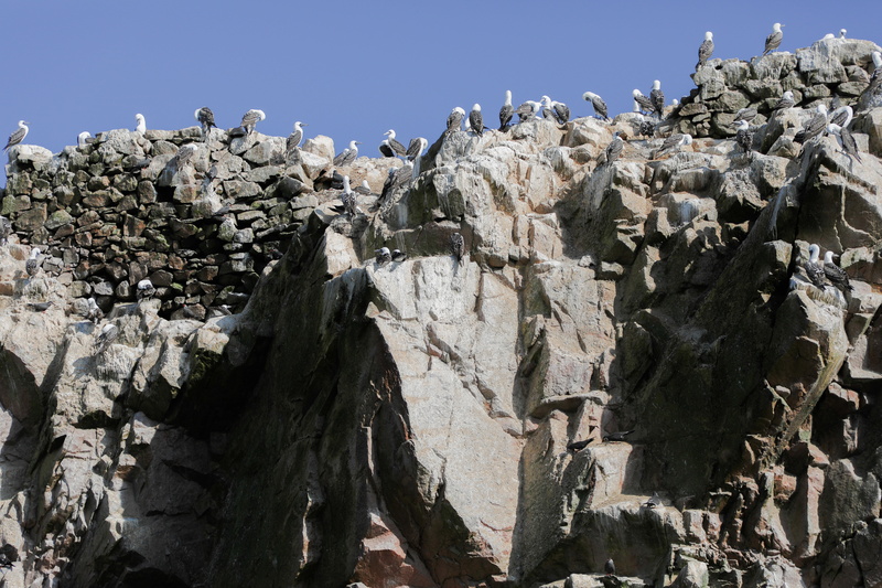 non-urban scene, landscape, mountain, national parks, 5K, solid, eagle, waterfowl, sunlight, eroded, birds of prey, zoo, nature reserve, rock formation