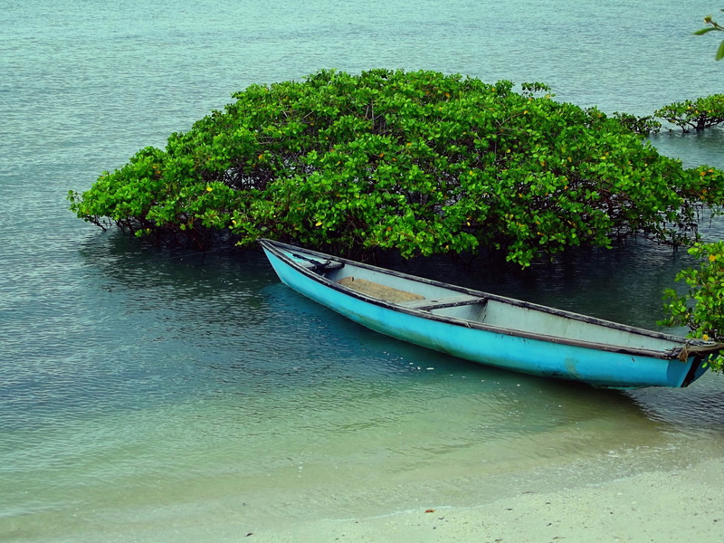 Boats, mar, anchored, green color, day, tranquil scene, mode of transportation, no people, Boat, rowing boat, nature, wooden boat, fishing boat, rowboat