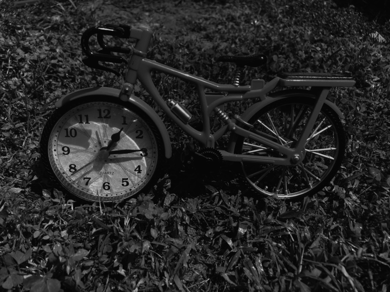 no people, download, clock, mode of transportation, uruguay, metal, wheel, day, 4K, abandoned, plant, plant part, stationary, bike, land vehicle