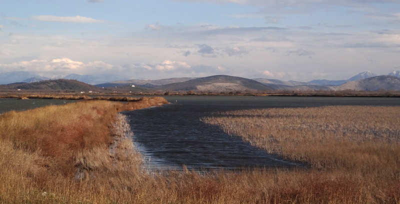 grass, birds, land, mountain range, water, sky, cloud - sky, plant, scenics - nature, salina, mountain, environment, no people, 4K, landscape, tranquility