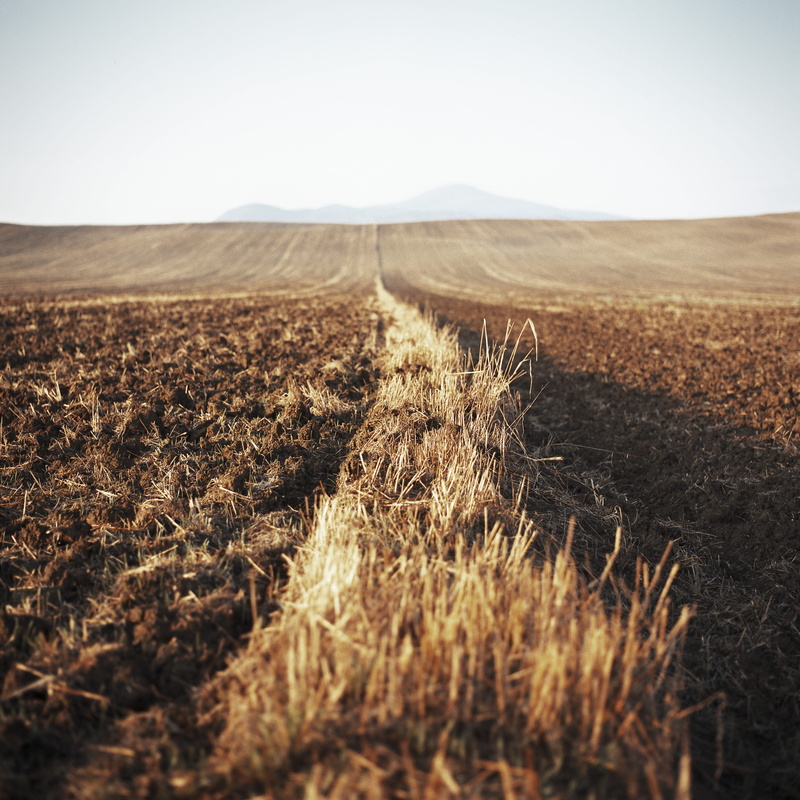 scenics - nature, beauty in nature, tranquility, outdoors, grass, scenery, field, summer, horizon over land, grassland, soil, horizon, agriculture, italy