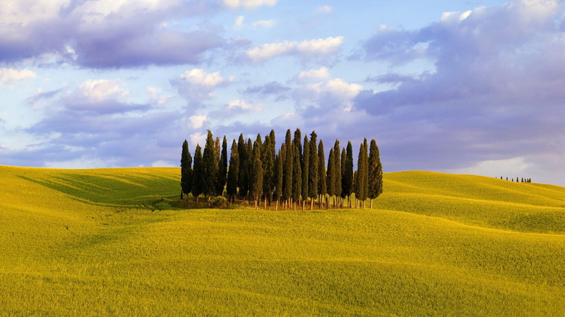 nature, seasons, agriculture, field, land, italy, green, orcia, 1080P, plant, valley, outdoors, tranquil scene, beauty in nature, rural scene