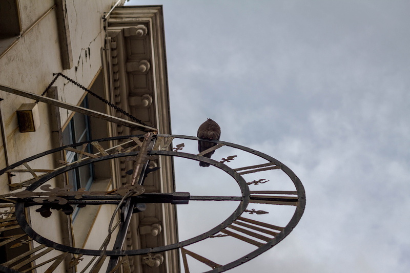 overcast, bicycle, blackbird, cloud - sky, 5K, vehicle, animal, outdoors, agelaius, circle, built structure, arts culture and entertainment, bike, clock
