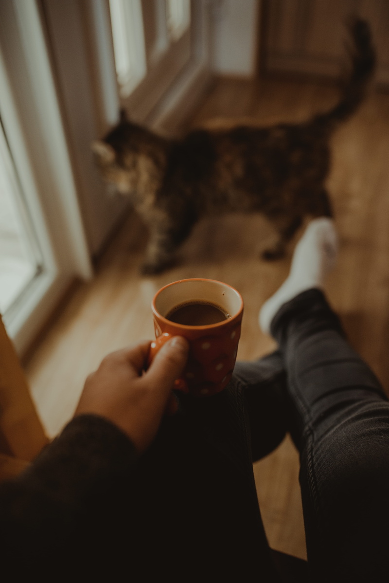 cup, hardwood, human hand, wood, drink, man, pet, cat, alcohol, hand, lifestyles, finger, mug, espresso, refreshment, 5K, real people, holding, animal