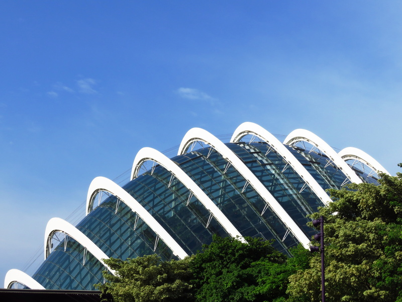 plant, curve, 4K, building, low angle view, clear, arch, garden by the bay, tree, built structure, blue, modern, singapore, sky, day, outdoors, nature