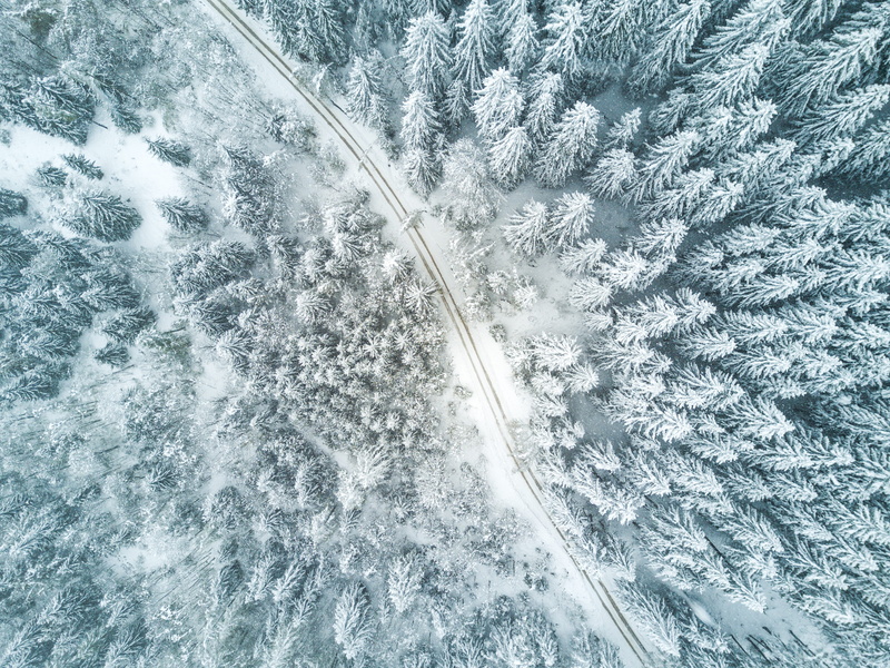 beauty in nature, white color, snow, roadway, high angle view, view, snowing, empty, no people, environment, cold, looking down, tree, winter forest, trees