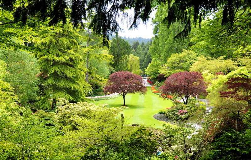 lush foliage, no people, Garden, water, 2K, Butchart gardens, Trees, day, beauty in nature, outdoors, nature, land, tranquility, tree, tranquil scene