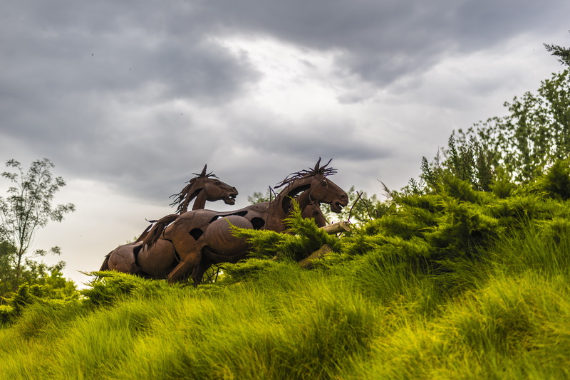 sky, grass, domestic, nature, tree, outdoors, iron horses, lleida, livestock, green color, 5K, animal wildlife, art and craft, metal, no people, mammal