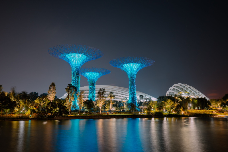 trip, artificial, city, lake, singapore, gardens by the bay, gardens, nature, super tree, reflection, architecture, no people, travel, night