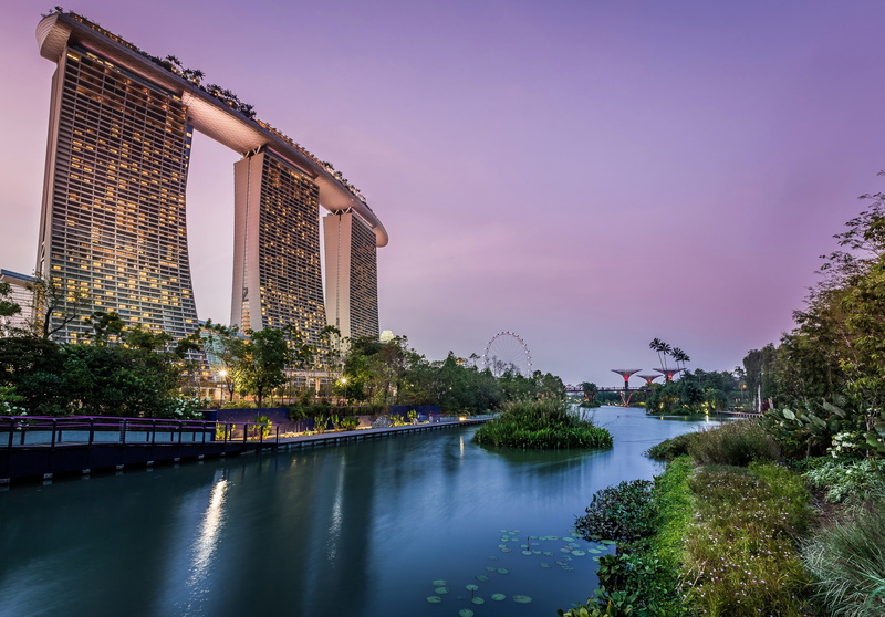 Singapore, gardens, Gardens by the Bay, pond, Park, trees, the bushes, 2K, skyscrapers, the evening, lights