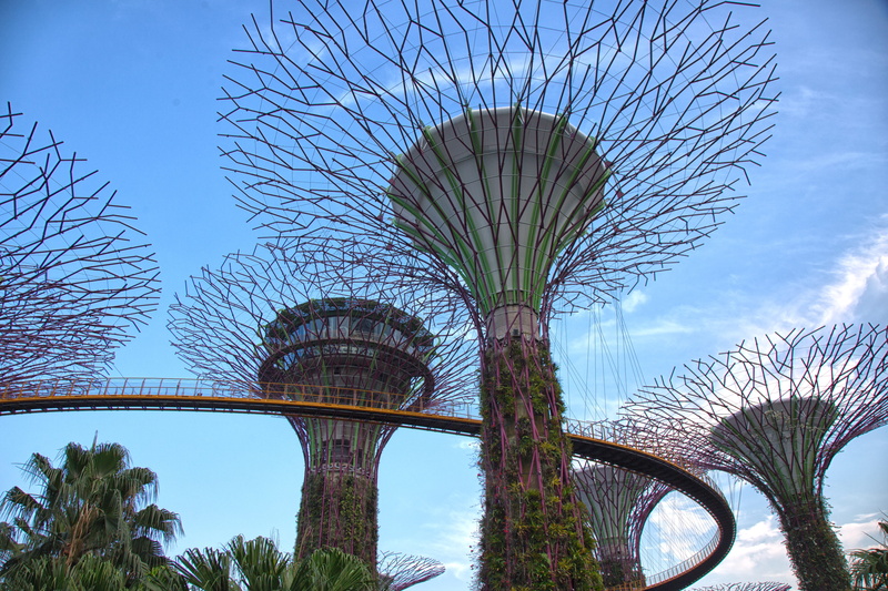 architecture, cloud - sky, attraction, nature, park, modern, low angle view, supertree, singapore, asia, bridge, sky, tourism, city, transportation, tree