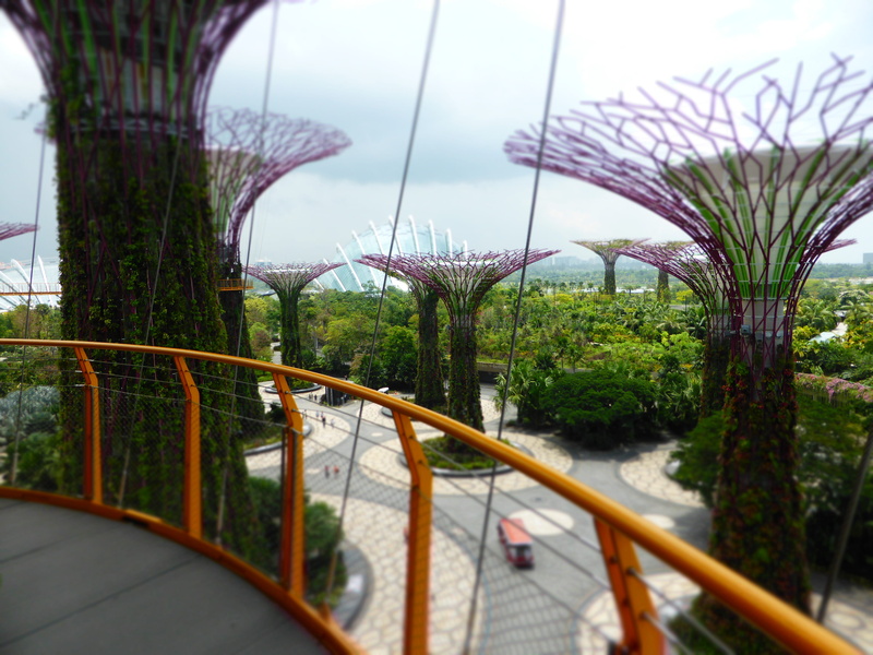 architecture, plant, railing, transportation, travel, singapore, bay, nature, connection, garden, tree, 4K, trees, growth, outdoors, water, gardens by the bay