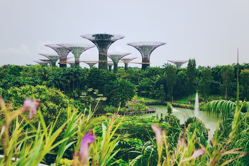 water, vase, fountain, day, 2K, environment, beauty in nature, bay, no people, arecaceae, agriculture, singapore, gardens by the bay, lawn, land, pottery