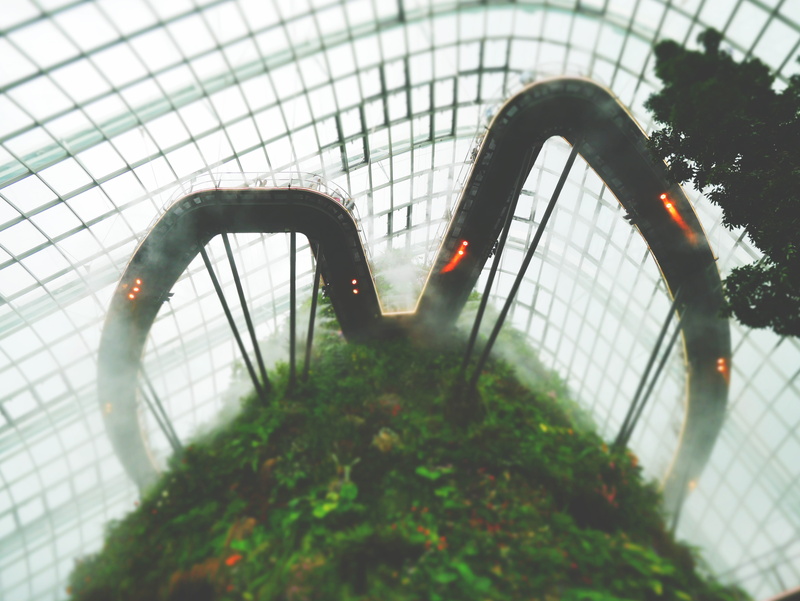 day, walkway, greenhouse, cloud forest, close-up, gardens by the bay, hydroponic, asian travel, hydroponic farming, jungle, architecture, future, plant part