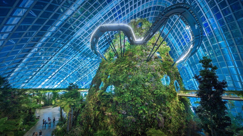 architecture, building, blue, travel destinations, garden, singapore, plant, night, gardens by the bay, built structure, blurred motion, marina bay, low angle view