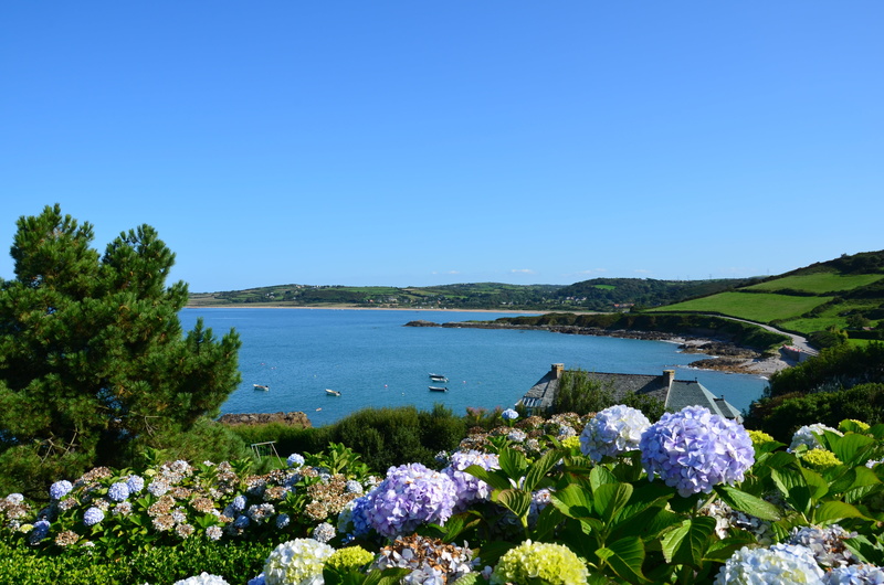 root port, 4K, mountains, springtime, the fields, beauty in nature, flowering plant, parking, seaside, flower, environment, summer, flowers, leaves, sky