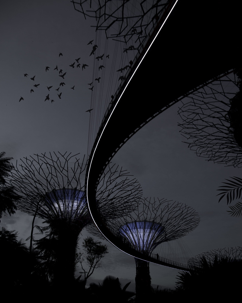 animals in the wild, sky, flying, 4K, architecture, flock of birds, tree, vertebrate, marina, outdoors, no people, night, nature, built structure, bare tree
