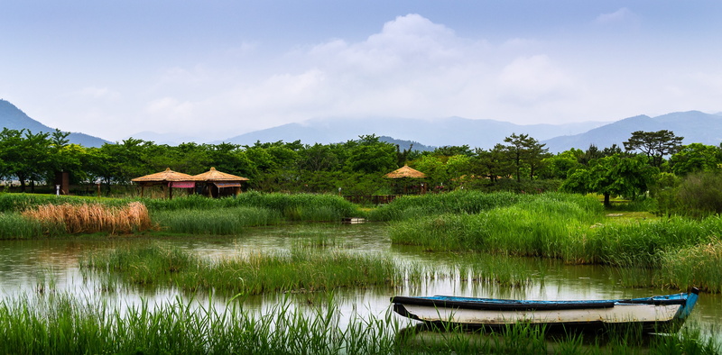 scenics - nature, reflection, garden, sky, building, building exterior, tropical climate, nature, lake, tree, korea, 4K, beauty in nature, tranquility