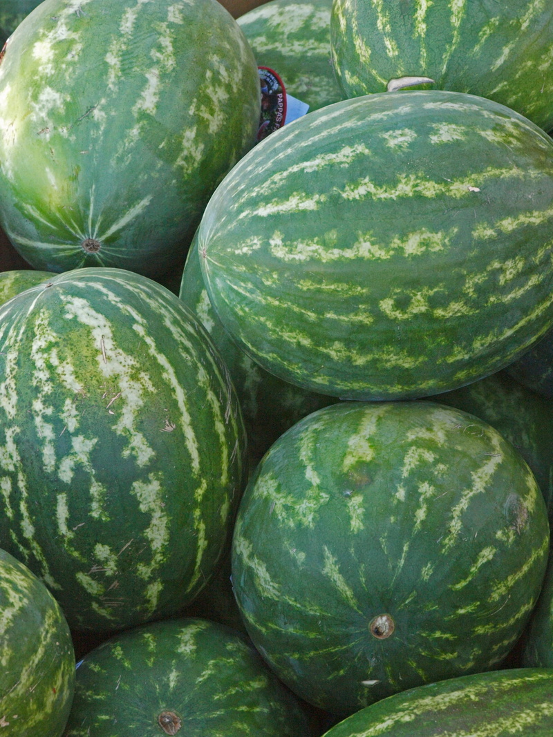 melon, bay, day, golden gate bridge, no people, abundance, red, healthy eating, food, pumpkin, healthy, food and drink, golden gate, fall, retail, large group of objects
