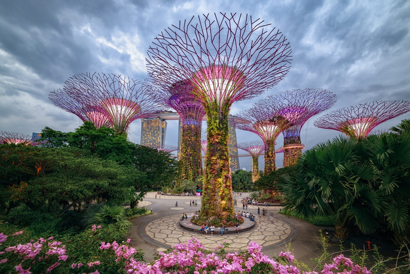 the city, Supertree Grove, Park, Gardens by the Bay, 1080P, trees, Singapore
