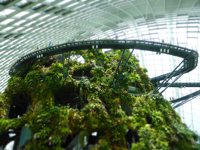 growth, garden, low angle view, marina bay, built structure, selective focus, hothouse, green, tree, walkway, indoors, marina bay sands, 4K, elevated