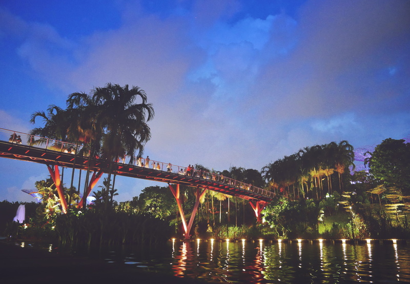 garden, bridge, reflection, 4K, built structure, dark, connection, dusk, illuminated, walking bridge, southeast asia, trees, river, no people, travel