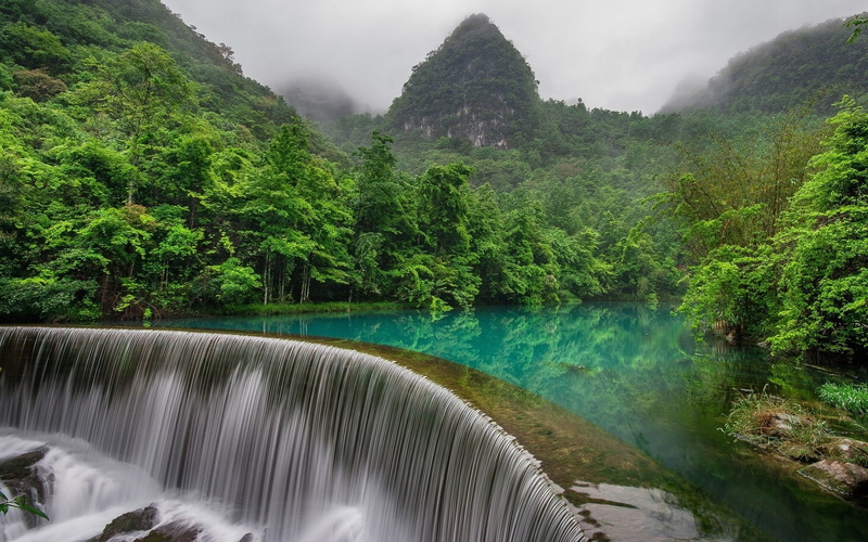 plant, China, tranquil scene, water, mountains, nature, green color, mountain, scenics - nature, idyllic, growth, lake, jungle, forest, no people, tree