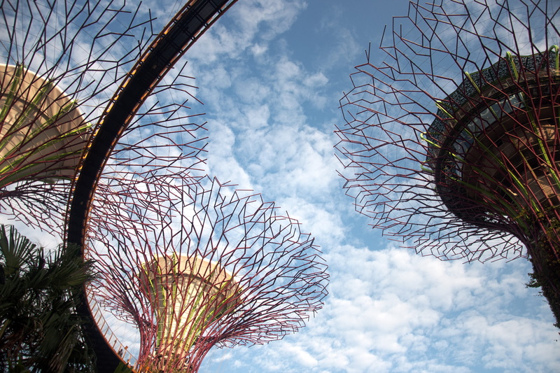 bare tree, garden, silhouette, travel destinations, outdoors, skyline, sunny, cloud - sky, day, bridge, low angle view, tree, singapore, modern, building exterior