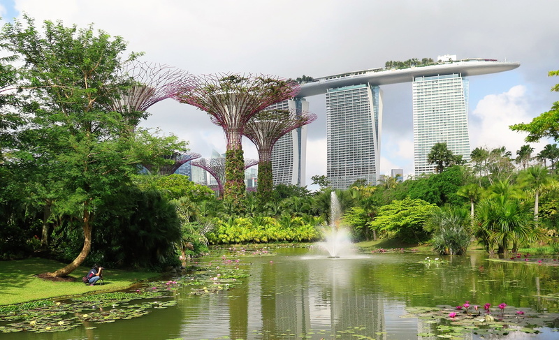 architecture, travel destinations, day, outdoors, park - Man Made Space, super trees, real people, city, bridge - Man Made Structure, Singapore, Marina Bay Sands