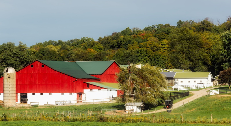 woods, rural scene, tree, panoramic, home, beautiful, house, building exterior, rural, horse, clear sky, autumn, land, buggy, green color, ohio, lane, nature