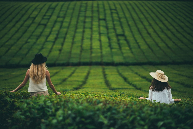 blonde, three quarter length, two people, leisure activity, women, nature, real people, field, lifestyles, model, 720P, rear view, tea plant, women outdoors