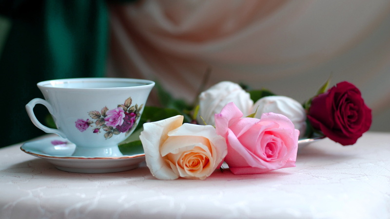 saucer, tea - hot drink, petal, indoors, pink color, 2K, hot drink, flowers, tea cup, flower arrangement, rose, mug, rose - flower, crockery, flowering plant