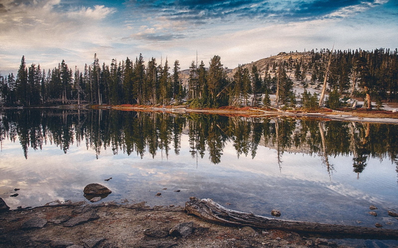 sky, cloud - sky, outdoors, water, forest, plant, lake, no people, body, tranquility, near, day, nature, panoramic, non-urban scene, tranquil scene, tree