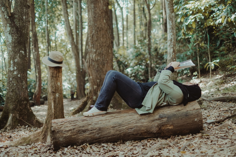 woodland, reading, clothing, hat, travelling, casual clothing, forest, full length, lying, plant, outdoors, tree, book, landscape, real people, 4K, land