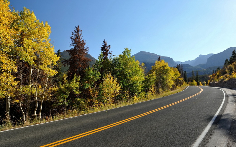 2K, road, green, trees, nature, grey, highway, hd