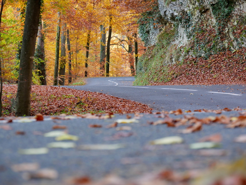 roadtrip, semnoz natural park, direction, autumn collection, yellow, outdoors, fall, surface level, no people, tree trunk, autumn, asphalt, land, france