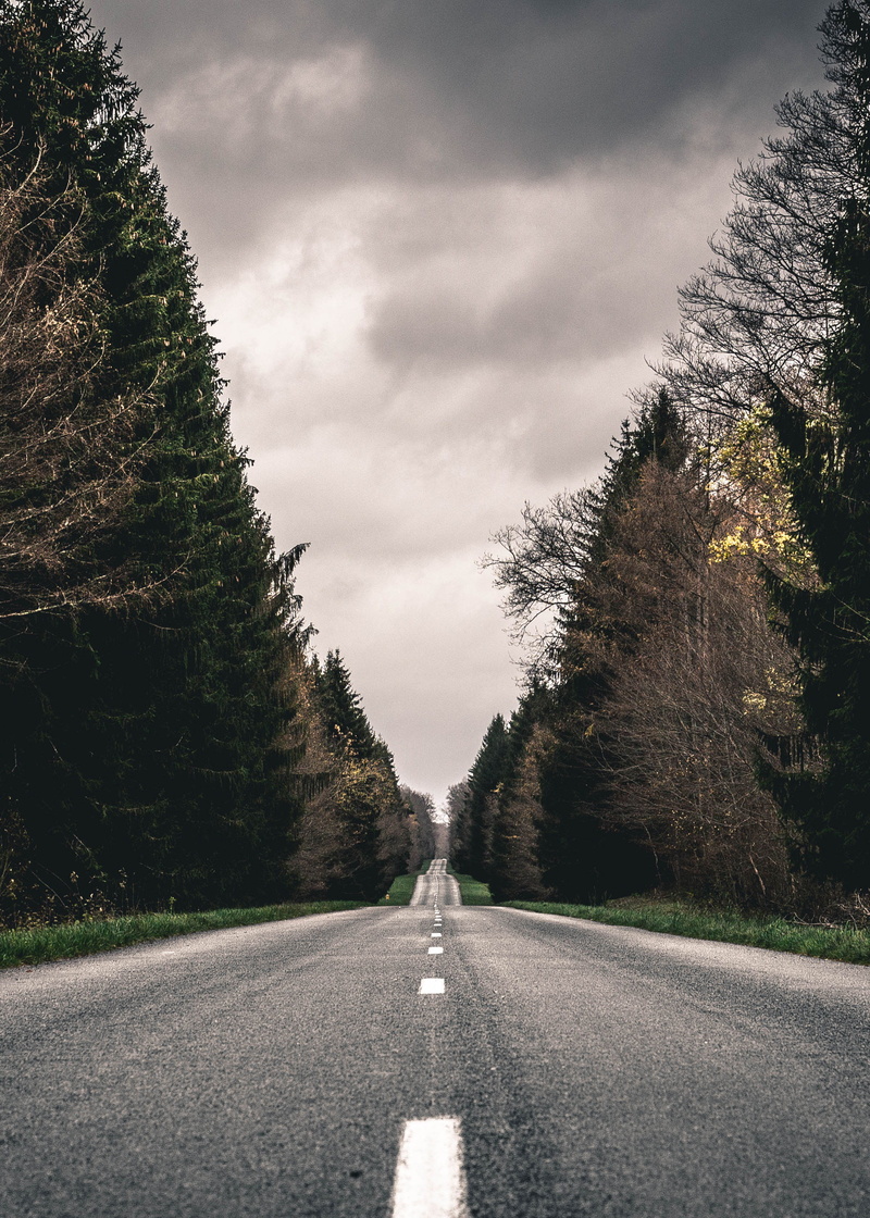  iphone, outdoors, tree, background, day, diminishing perspective, symbol, forest, nature, direction, marking, country, road, android, tranquility