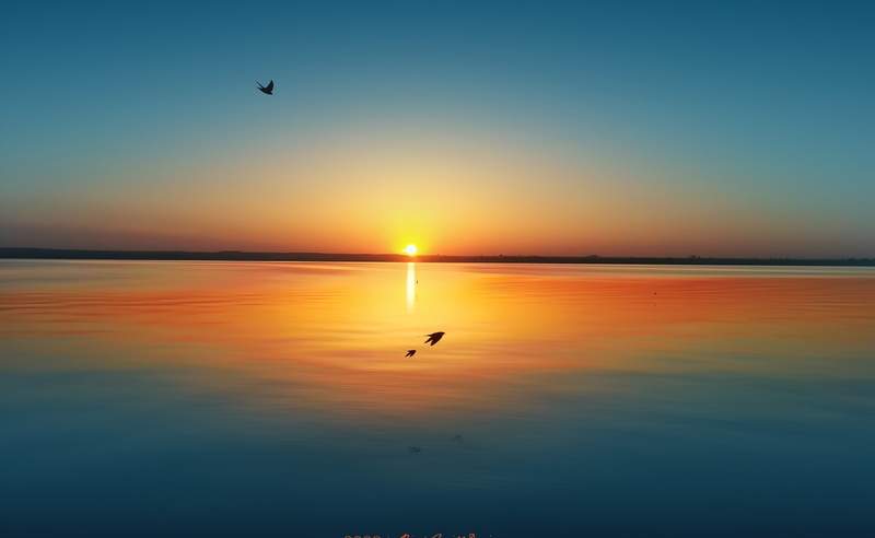 sunset, travel, scenics - nature, beauty in nature, hour, animal wildlife, 2K, photography, long exposure, seaside, waterfront, spring, summer, flying