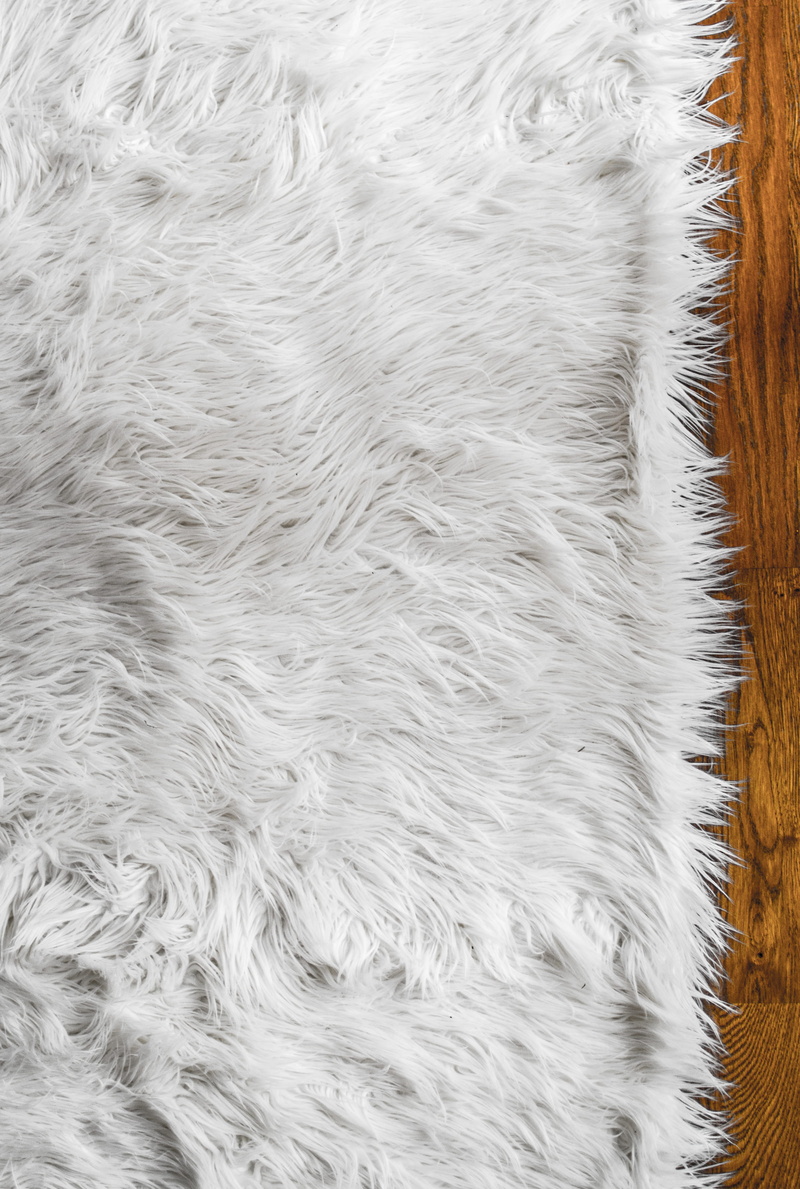 flora, grey, day, domestic, animal body part, plant, vertebrate, animal, blanket, softness, animal themes, hair, grass, mammal, one animal, white, fur