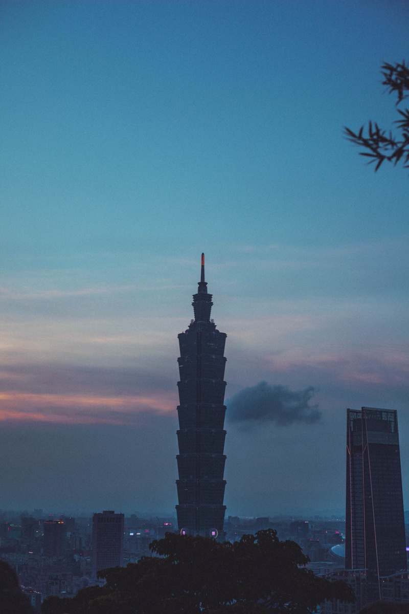 city, taipei, nature, journey, alone, high, tree, calm, taipei 101, clouds, night, built structure, building exterior, tourism, shadow, pink, sunset, cloud - sky
