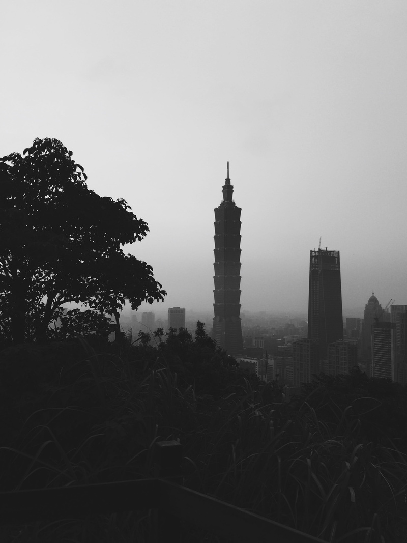growth, plant, xinyi district, 2K, silhouette, 110, travel, outdoors, tower, clear sky, tall - high, city, skyscraper, place, sky, taipei 101, taipei