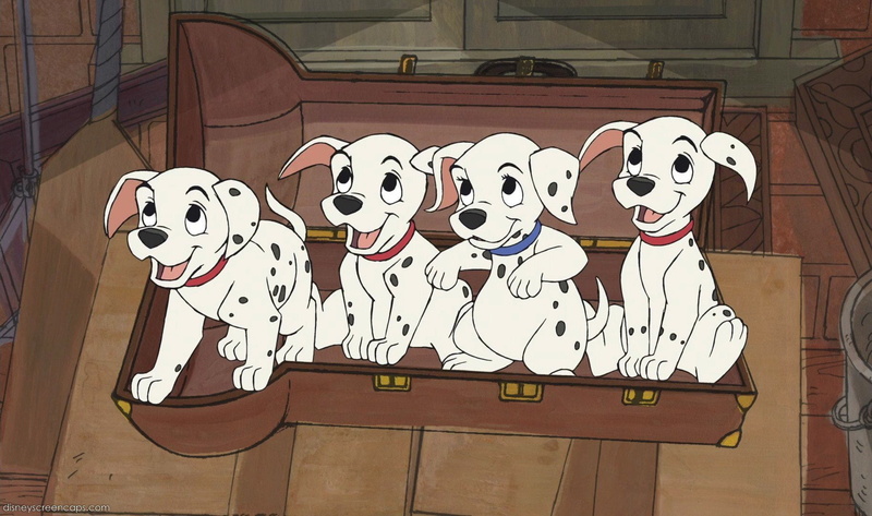 adventure, 100, disney, 101 dalmatians, 720P, comedy, dalmatians, puppy, family, dog