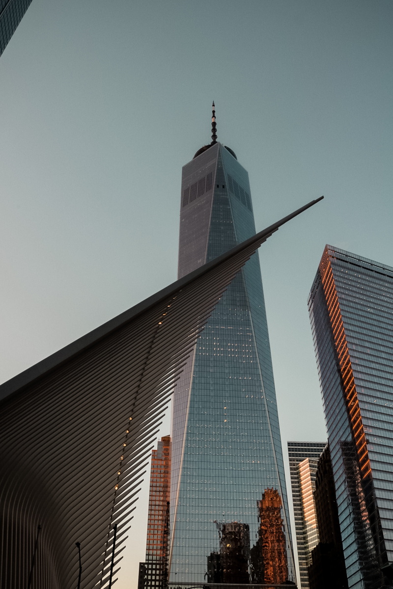 nature, photography, tower, manhattan, financial district, perspective, tall, skyscraper, low angle view, reflection, modern, travel destinations, spire