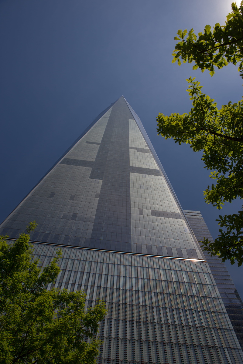tree, travel, united states, tall - high, sky, nature, low angle view, built structure, travel destinations, sunlight, one wtc, city, new york, plant, outdoors