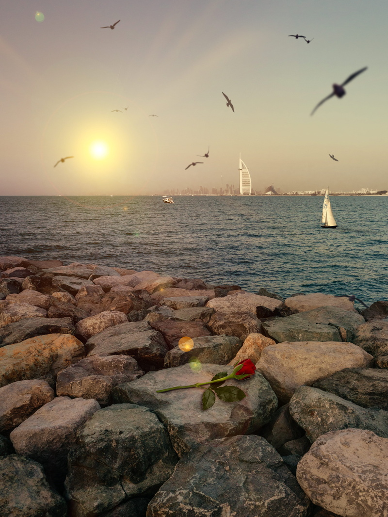 sunny, group of animals, flying, bird, solid, no people, afternoon, scenics - nature, animal, boat, seaside, animals in the wild, horizon over water, sky