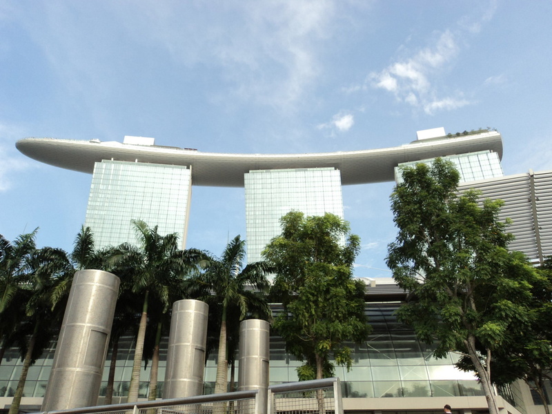 plant, city, office building exterior, architectural column, outdoors, built structure, building exterior, industry, sunlight, singapore, growth, low angle view