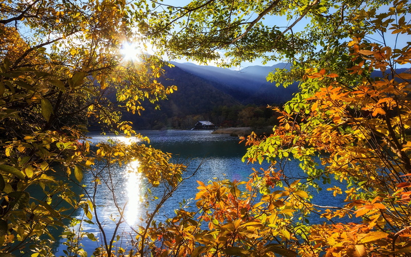 Trees, tochigi, 1080P, Autumn, Japan, Sun, nikko, Rays, Mountain, Lake