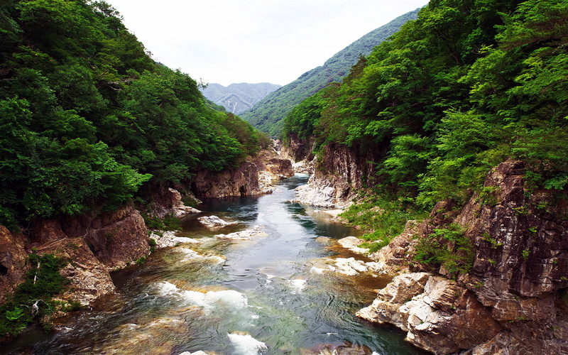 plant, idyllic, river, rock - object, rock, park, 4K, outdoors, day, scenics - nature, water, mountain range, non-urban scene, green, rivers, national
