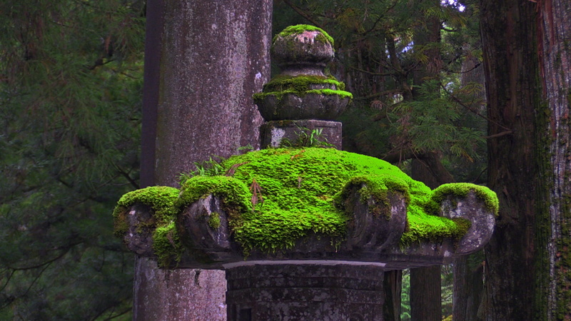 stone lantern, growth, plant, tranquility, sculpture, history, moss, nature, architecture, nikko, no people, green color, garden, art and craft, 1080P
