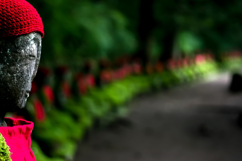 people, tourism, japanese, japan, buddhist, 4K, day, selective focus, growth, green color, shrine, outdoors, religion, close-up, red, order, nature, travel